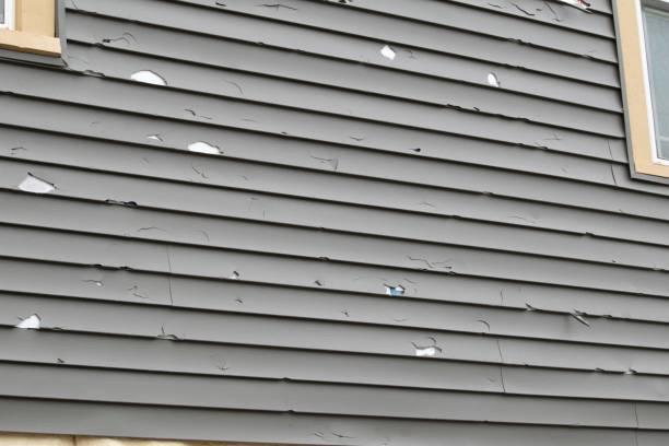 Best Historical Building Siding Restoration  in Erwin, NC